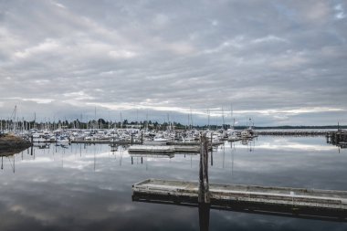 Blaine, Washington 'daki Blaine Limanı' ndaki suya yansıyan bulutlar.