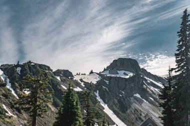 Heather Meadows Dağı 'ndaki dağ sırtı. Baker-Snoqualmie Ulusal Ormanı.