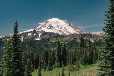 Dağın manzarası. Rainier Dağı 'ndaki Naches Tepesi Döngü Yolu' nda. Rainier Ulusal Parkı.