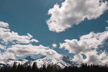 Dağdaki bulutlar. Rainier, Sunrise Misafir Merkezi 'nde. Rainier Ulusal Parkı.