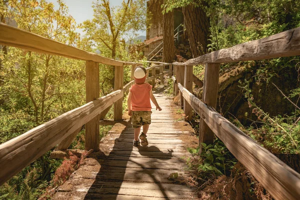 Young Boy Walking Small Bridge Ladder Creek Falls Trail North — Stock Photo, Image