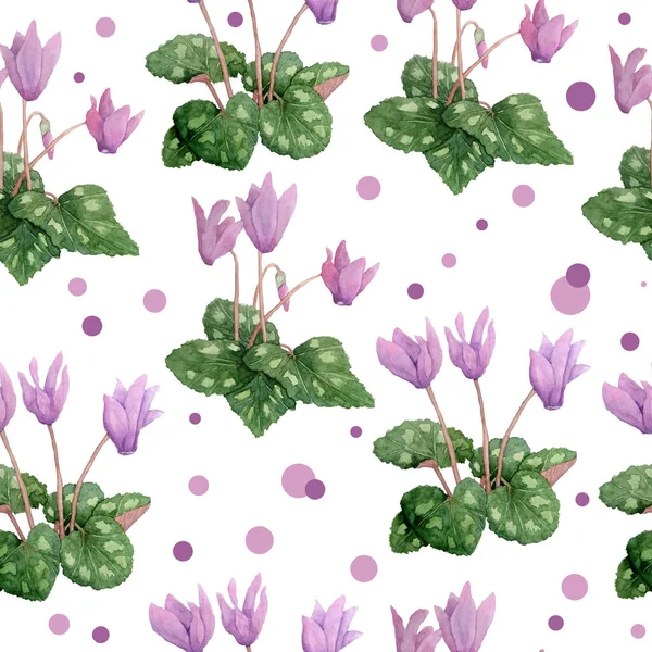 Akvarell handritad sömlös mönster illustration av rosa violett lila cyklamen vilda blommor med prick. Skogsmark skog natur växt, realistisk design blad kronblad. För bröllopskort — Stockfoto