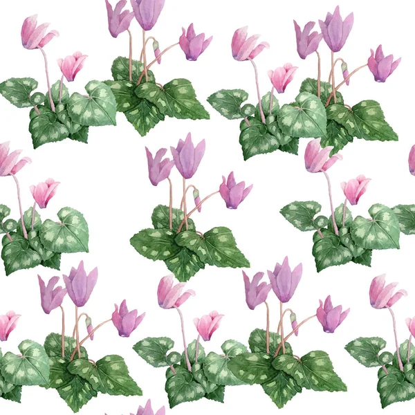 Akvarell kézzel rajzolt zökkenőmentes minta illusztráció rózsaszín lila ciklámen vadvirágok. Erdő fa erdő természet növény, reális design levelek szirmok. Esküvői kártyákhoz meghívó. — Stock Fotó