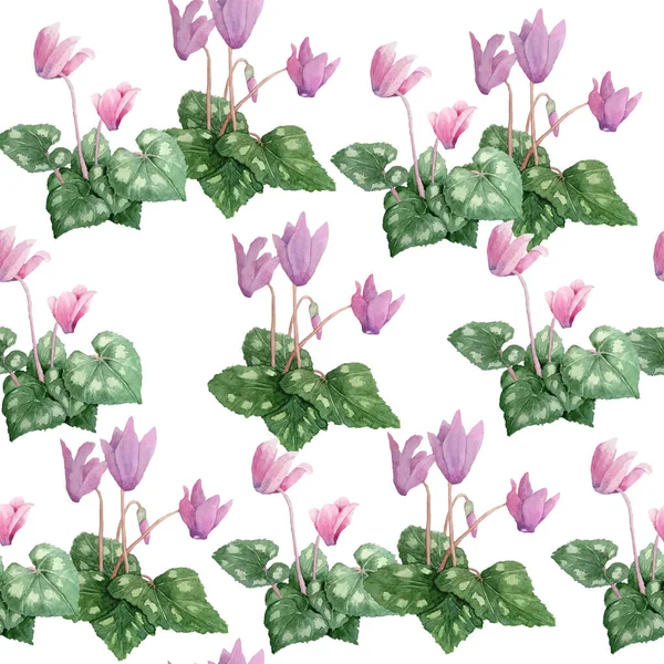 Aquarelle dessin à la main motif sans couture illustration de rose violet cyclamen fleurs sauvages. Forêt bois forêt nature plante, design réaliste laisse pétales. Pour cartes de mariage, invitation. — Photo