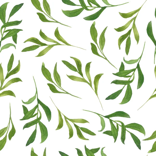 Бесшовный ручной рисунок акварели с зелеными цветами диких трав листья в лесу леса леса. Органические натуральные растения, цветочный ботанический дизайн для оформления обоев — стоковое фото