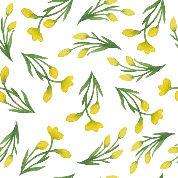 无缝手画成的水彩画图案，黄色的花冠，绿色的野生草本植物花在林地森林里。有机天然植物,壁纸纺织品植物植物学设计 — 图库照片