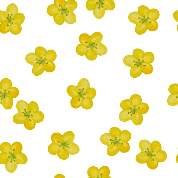 Bezešvé ručně kreslené akvarel vzor se žlutým máslovým rununculus, zelené divoké bylinky květiny listy v lesním lese. Organické přírodní rostliny, květinový botanický design pro tapety — Stock fotografie