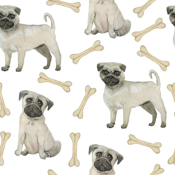 Padrão desenhado à mão sem costura aquarela com cães pugs raça isolada no fundo branco. Engraçado bonito animais de estimação dos desenhos animados para têxteis embrulho textura de fundo de papel. Impressão de berçário na moda para crianças. — Fotografia de Stock