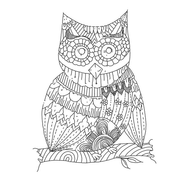 Искусство Owl Line
