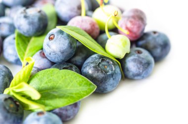 Beyaz arka plan üzerinde izole yaban mersini yığını