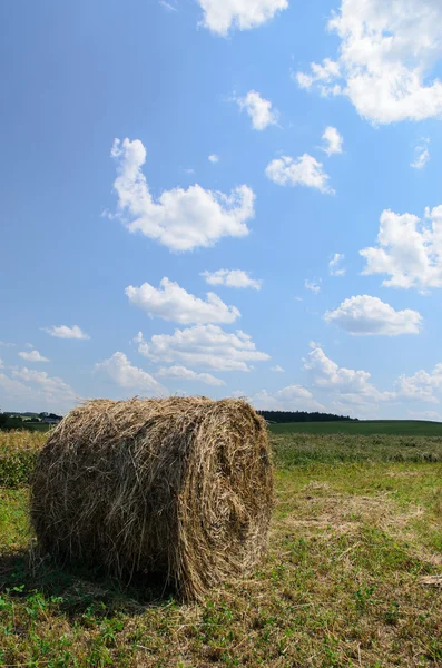 Round bale (hay) on sky background — Stock Photo, Image