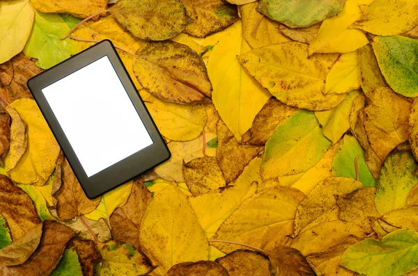 EBooklezer liggend op herfst bladeren achtergrond — Stockfoto