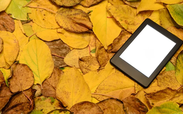 ebook okuyucu sonbaharda yalan arka plan bırakır