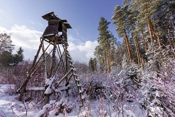 Jakt torn nära kanten av skogen på vintern Royaltyfria Stockbilder