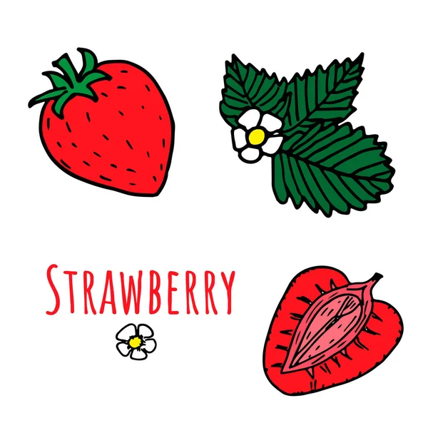 Çiçekler ve yapraklarla izole edilmiş bir çilek seti. Parlak renkler. Vektör illüstrasyonu