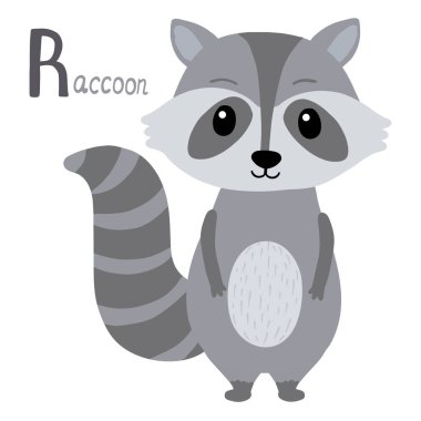 Çizgi film tarzında rakun. Hayvan alfabesi. Beyaz arka planda izole edilmiş. R harfi öğrenme. Vektör