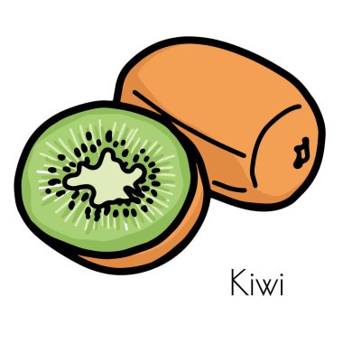 Yarısı ile bütün kivi. Beyaz arka planda izole edilmiş. Vektör illüstrasyonu