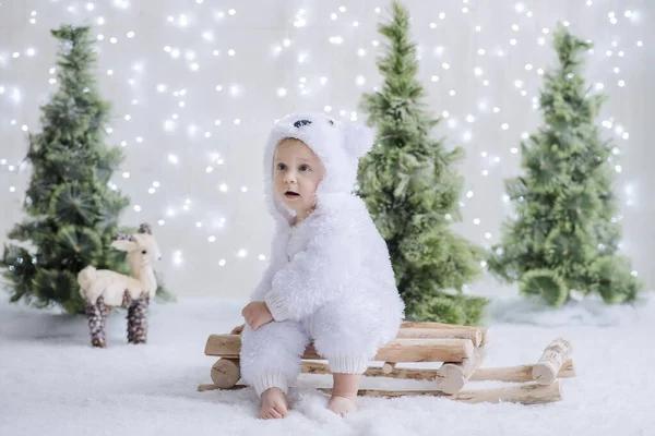 Niño Pequeño Vestido Como Oso Polar Blanco Sienta Entre Bosque — Foto de Stock