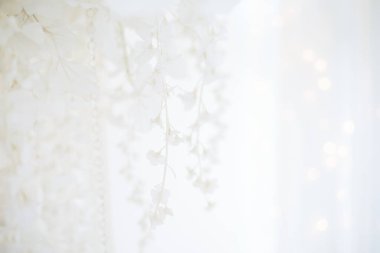 Hassas, yumuşak bir Noel arkaplanı ve bulanık parlak bir bokeh. Beyaz ortancalı yeni yıl tebrik kartı. Düğün davetiyeleri için üniforma deseni. Uzayı kopyala Baskı ürünleri için destek. Şefkatli