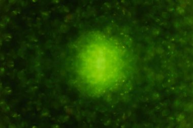 Bulanık odaklı arka plan. Yeşil siyah bokeh deseni. Aziz Patrick 'in Noel tebrik kartları için bir şablon. Soyut şablon. Dekorasyon için alan düzenini kopyala