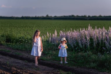 Beyaz elbiseli iki küçük kız çiçek açan mor bilgenin yeşil tarlasında yürüyorlar. Elbise giymiş kız kardeşlerin yürüyüşü. Köy hayatı tatil seyahati. Bebek sabun köpükleriyle oyun oynuyor. Çocukluk