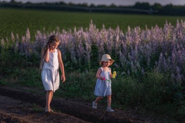Beyaz elbiseli iki küçük kız çiçek açan mor bilgenin yeşil tarlasında yürüyorlar. Elbise giymiş kız kardeşlerin yürüyüşü. Köy hayatı tatil seyahati. Bebek sabun köpükleriyle oyun oynuyor. Çocukluk