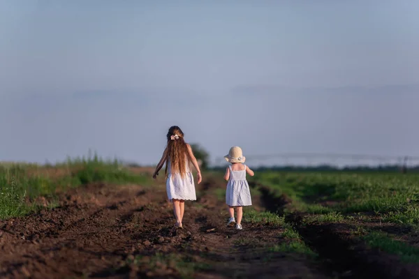 Duas Meninas Sundresses Brancos Estão Andando Campo Verde Sálvia Roxo — Fotografia de Stock