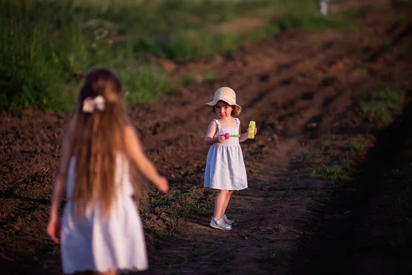 Dwie Małe Dziewczynki Białych Sukienkach Chodzą Zielonym Polu Kwitnącej Szałwii — Zdjęcie stockowe