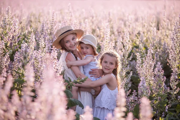 Three Sisters White Sundresses Hug Each Other Girls Play Blooming — Stock Photo, Image