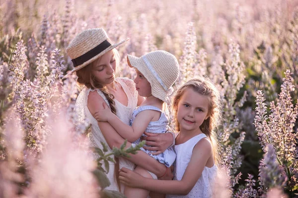 Три Сестры Белых Платьях Обнимаются Девушки Играют Цветущем Поле Фиолетового — стоковое фото