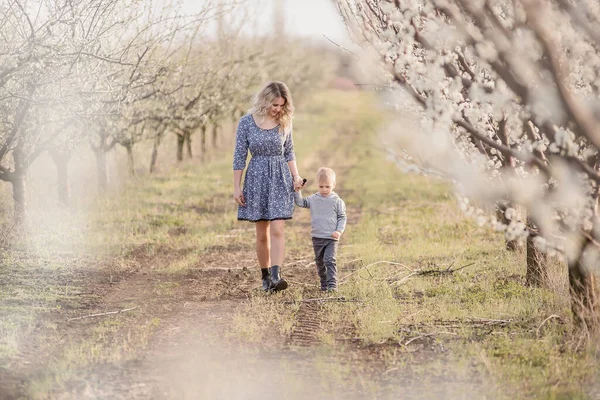 Young Blonde Mother Her Little Son Walk Hand Blossoming Apple — Stock Photo, Image