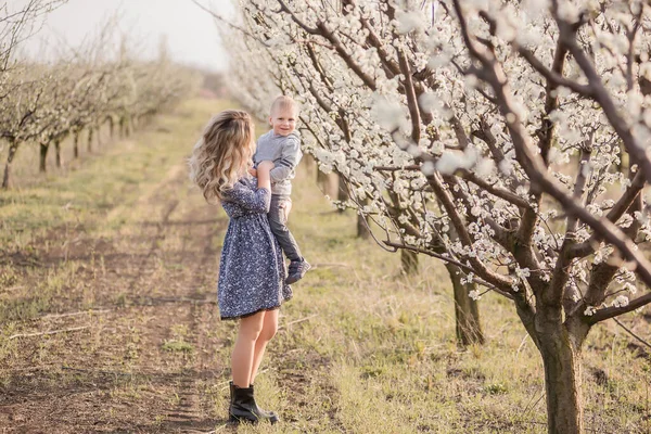 小さな息子を持つ若いブロンドの母親は 開花リンゴ園の中を手で歩く 白い花の庭で春の屋外週末 幸せな家族旅行 スペースのコピー — ストック写真