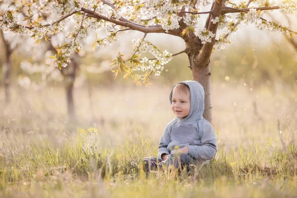 Der Kleine Blonde Junge Grauen Sweatshirt Mit Kapuze Auf Dem — Stockfoto