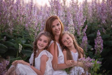 Genç anne, mor bir adaçayı tarlasında iki kızını kucaklıyor. Saman şapkalı, beyazlar içinde. Kadınlar sevgiyle kızlara sarılır, okşar, öperler. Şehir dışında yürüyüşler, hafta sonu seyahatleri. Boşluğu kopyala