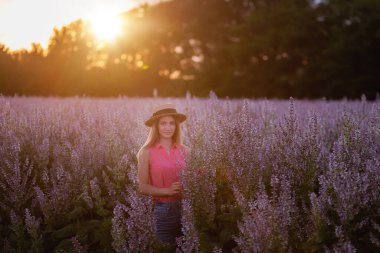 Mor gömlekli genç bir kadının portresi, kot şortlu, kafasında hasır bir şapka, çiçek açan pembe bir adaçayı tarlasının arka planında. Gün batımında güneşte uzun sarı saçlar. Şehir dışına seyahat et.