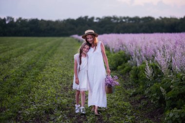 Beyaz elbiseli genç bir anne, hasır şapkalı küçük kızı kucaklıyor. Mor adaçayı tarlasında bir kadınla yürüyen bir kız. Anne şefkati. Çocuklarla tatile. Çiçek arkaplan. Portreyi kapat