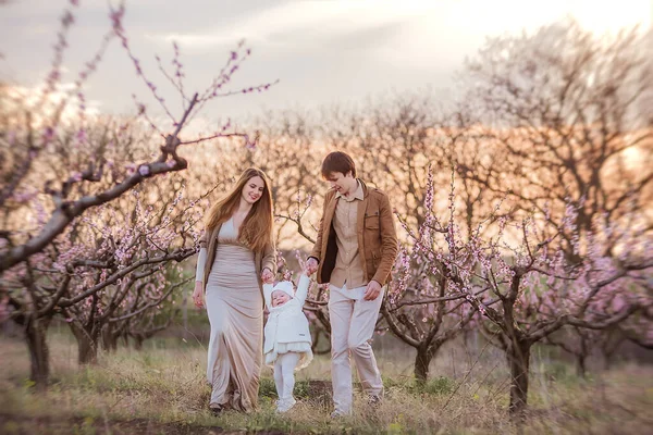 Щаслива Родина Гуляє Серед Квітучого Рожевого Персикового Саду Молодий Батько — стокове фото