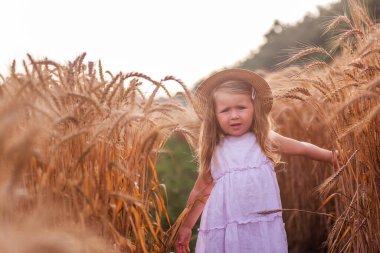 Açık pembe elbiseli ve hasır şapkalı küçük bir kız altın buğday ve çavdar tarlasında koşuyor. Şehir dışında hasat yapıyor, kırsalda yürüyor. Kız doğada eğleniyor, tarım turu yapıyor.