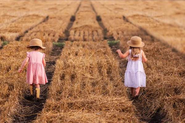 2人の少女の友人は 小麦のフィールドでキャッチアップを再生実行している 姉妹は楽しんでいる 水滴と雨の後の黄金のライ麦 夏の散歩 農場の田舎の農業ツアー — ストック写真