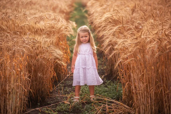 Little Girl Light Pink Sundress Straw Hat Runs Field Golden — Stock Photo, Image