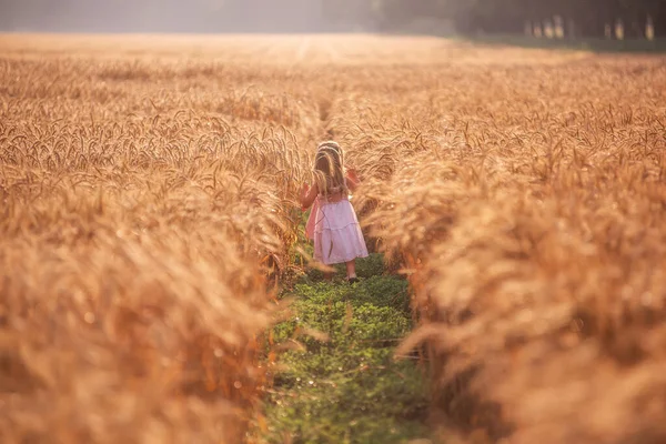 Dua Teman Gadis Kecil Sedang Berlari Bermain Kejar Kejaran Ladang — Stok Foto