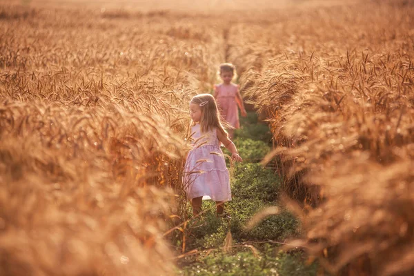 Dos Amigas Están Corriendo Jugando Ponerse Día Campo Trigo Las —  Fotos de Stock