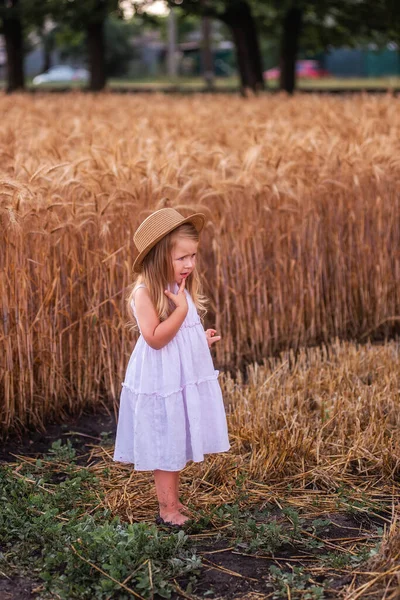 Little Girl Light Pink Sundress Straw Hat Runs Field Golden — Stock Photo, Image