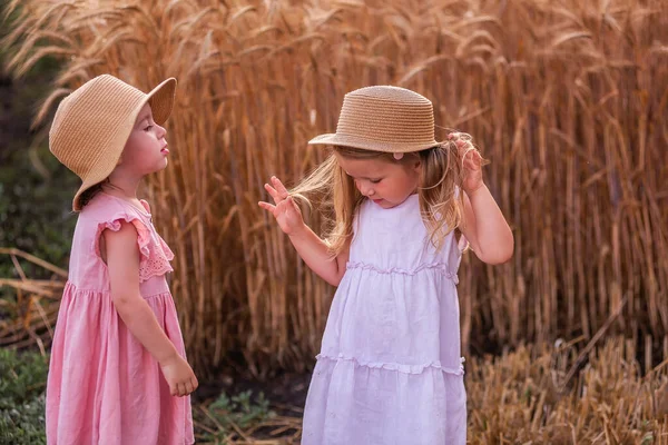 Dos Niñas Hermanas Con Sombreros Paja Vestidos Rosas Están Junto — Foto de Stock