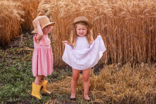 Dos Niñas Hermanas Con Sombreros Paja Vestidos Rosas Están Junto —  Fotos de Stock