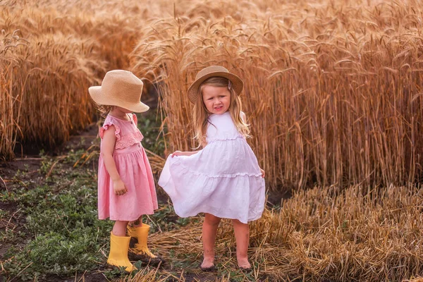 Two Little Sister Girls Straw Hats Pink Dresses Stand Golden — Stock Photo, Image