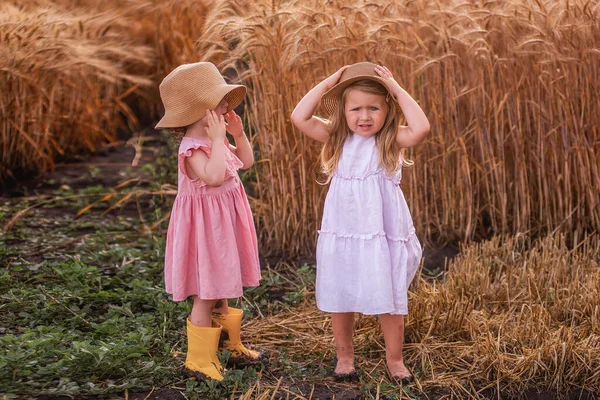 Dos Niñas Hermanas Con Sombreros Paja Vestidos Rosas Están Junto — Foto de Stock