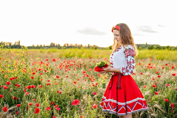 Ukraynalı Genç Bir Kadın Ulusal Kostüm Nakışlı Bir Gömlek Vahşi — Stok fotoğraf
