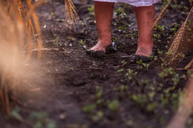 Kara ıslak zeminde, altın buğday başaklarının arasında, kirli çocukların ayakları vardır. Yağmurdan sonra yumuşak pembe elbiseli bir kız çiftliğin etrafında yürür. Hafta sonu Kırsal Tarım Turu