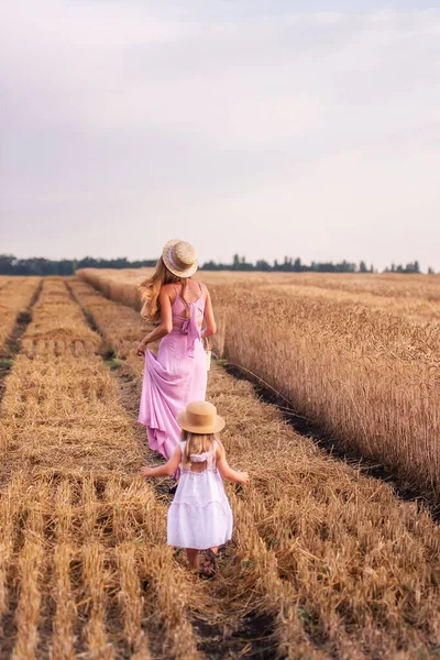 Kızı Annenin Elini Tutar Gün Batımında Altın Buğday Tarlası Boyunca — Stok fotoğraf